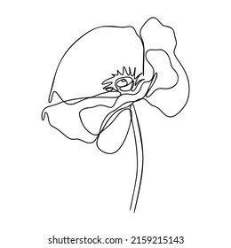 One Line Drawing, Single Continuous Line Sketch Flower Poppy