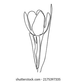 One Line Drawing, Single Continuous Line Sketch Flower