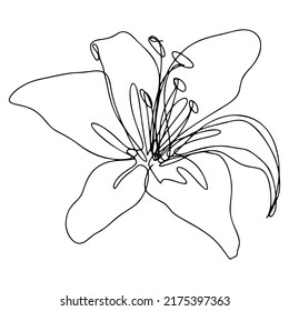 One Line Drawing, Single Continuous Line Sketch Flower