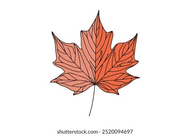 One line drawing of spring maple leaf. Graphic vector illustration with one line drawing