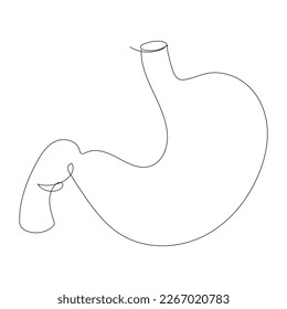 One line drawing of the stomach on a white background.