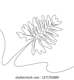 One line drawing tropical flora.Continuous line exotic plant.