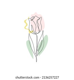 One line drawing tulip. Hand drawn single line flower with neutral abstract shapes background