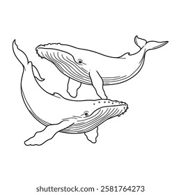  One Line Drawing of Two Whales Marine Life and Ocean Conservation 