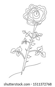 One line drawing of a vector flower, black and white sketch of a rose isolated on a white background. One line plant hand drawn illustration