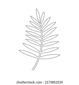 One line drawing vector leaf. Minimal art.