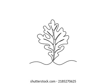 One Line Drawing Vector Mepal Leaf And Palm Tree Leaves. Modern Single Line Art, Aesthetic Contour. Perfect For Home Decor Such As Posters, Wall Art, Tote Bag Or T-shirt Print, Sticker, Mobile Case