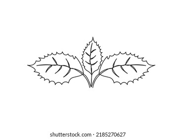 One Line Drawing Vector Mepal Leaf And Palm Tree Leaves. Modern Single Line Art, Aesthetic Contour. Perfect For Home Decor Such As Posters, Wall Art, Tote Bag Or T-shirt Print, Sticker, Mobile Case