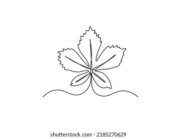 One Line Drawing Vector Mepal Leaf And Palm Tree Leaves. Modern Single Line Art, Aesthetic Contour. Perfect For Home Decor Such As Posters, Wall Art, Tote Bag Or T-shirt Print, Sticker, Mobile Case