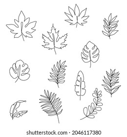 One Line Drawing Vector Monstera Leaf Stock-vektor (royaltyfri