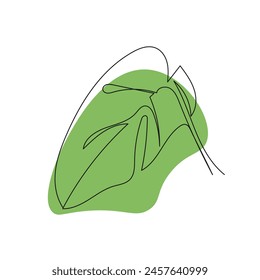 One line drawing vector monstera leaf pastel color. Modern single line art, aesthetic contour.Plant Art design for print, cover, wallpaper, Minimal and natural wall art. Vector