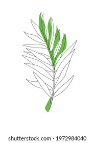 One line drawing vector palm tree leaves. Modern single line art, aesthetic contour. Perfect for home decor such as posters, wall art, tote bag or t-shirt print, sticker, mobile case
