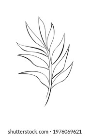 One line drawing vector palm tree leaves. Modern single line art, aesthetic contour. Perfect for home decor such as posters, wall art, tote bag or t-shirt print, sticker, mobile case
