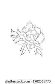 One line drawing vector peony flower. Modern single line art, aesthetic contour. Perfect for home decor such as posters, wall art, tote bag or t-shirt print, sticker, mobile case