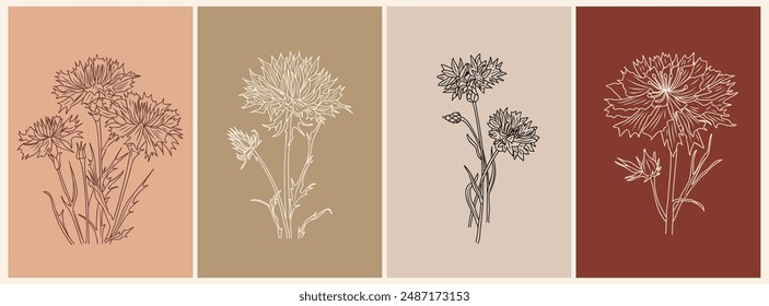 One Line Drawing Vector Wild Cornflower Print Set. Botanical outline vector illustrations of Knapweed flower, Centaurea. Trendy Design for logo, tattoo, wall art isolated on terracotta backgrounds.