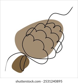 One line drawing in vintage style christmas fir cone with Abstract Color Shapes. Hand drawn sketch, retro style Vector Illustration Isolated on White. Botany Design Element for Winter Decoration, Card