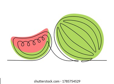 Сontinious one line drawing of watermelon in minimalist style. Simple colorful sketch of fruits isolated on white background for logo and posters. Vector illustration