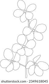 one line drawing,hand drawn,outline and flower