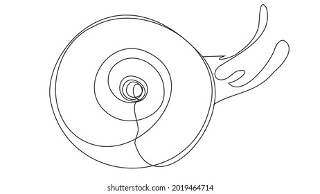 Una línea de pelota ocular sobre un fondo blanco. Órgano humano de visión en vector.