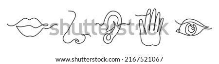 One line five human senses. Mouth to feel taste, nose to smell and ear to hearing. Hand to touch and eye to vision. Hand drawn human sense organs vector set. Body part symbols on white