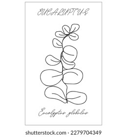 One line floral seamless pattern with eucalyptus. Botanical poster.