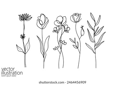 One line floral set element. Black and white monochrome continuous single line art. Floral nature Woman day gift romantic date illustration sketch outline drawing