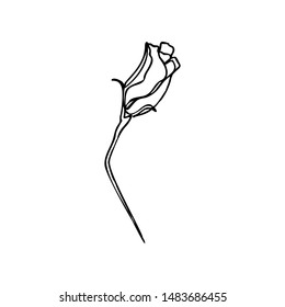 One Line The Flower Bud. Continuous line bloom In a Modern Minimalist Style. Vector Illustration Of A Plant. For printing on t-shirt, postcards, creating a logo