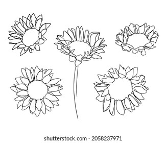 One line flowers set. Organic style