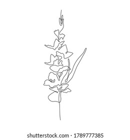 Flor de gladiolo de una línea. Silhouette de flores de arte creativo. Ilustración vectorial de estilo minimalismo dibujado a mano.