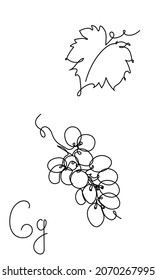 One line grape silhouette. Continuous linear art. Wine simple illustration. Vineyard set with leaf