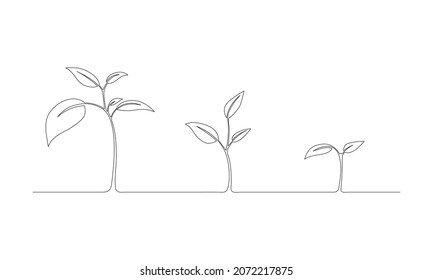 Una línea Estadios de la planta de crecimiento aislados sobre fondo blanco. Ilustración plana de línea de planta con hojas.Proceso de crecimiento.