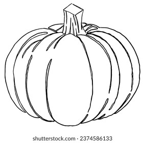  One line hand drawing pumpkin in a brush style, isolated on a transparent PNG background. Perfect for Halloween party backgrounds, poster templates, brochures, online ads.