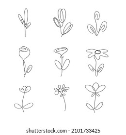 One line hand drawn abstract plants. Vector minimalist illustration set isolated on white background. Good for postcard, poster, logo, invitation. 