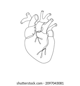 One line hand drawn anatomic medicine heart. Vector minimalist illustration isolated on white background. 