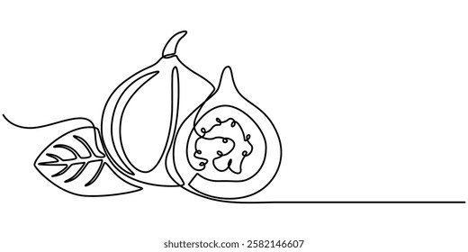 One line hand drawn fig. Vector illustration of fig in continuous line for posters, prints, logo, Single one line drawing whole healthy organic figs for orchard logo identity. Fresh exotic summer.