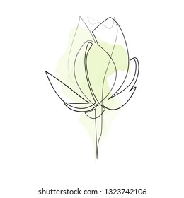 One line hand drawn lily. Single line flower illustration with watercolour. Vector