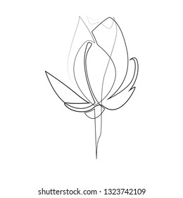 One line hand drawn lily. Single line flower illustration. Vector