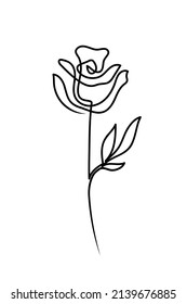 Diseño rosa de estilo minimalista con líneas a mano.