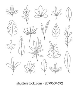 One line hand drawn plants, leaves, flowers. Vector illustration set isolated on white background. 