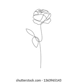 One line hand drawn rose. Long stem rose. Single line flower. Vector illustration