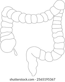 One line healthcare concept. Healthcare vector linear illustration. Intestine anatomy symbol silhouette. Isolated on white background. gastroenterology