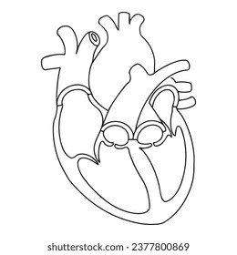 Anatomie des menschlichen Herzens in einer Linie, Vektorgrafik