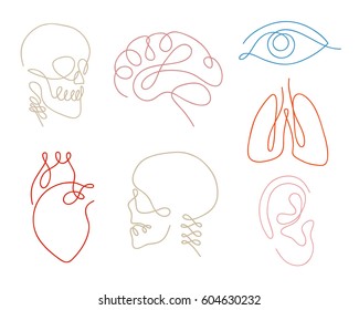 One line human organs set design silhouette Logo design  Hand drawn minimalism style vector illustration 