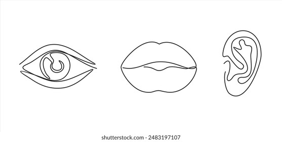One line human senses icon. Lips, hear, eye on drawn with one line illustration symbol.