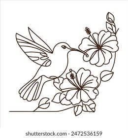  one line illustration of a hummingbird with hibiscus flowers,