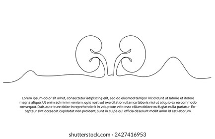 One line kidney human organ poster drawing with frame. Abstract