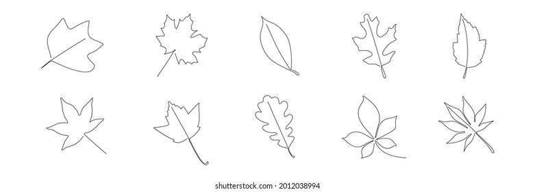 One Line Leaf Set Vector Hand Stock Vector (Royalty Free) 2012038994 ...