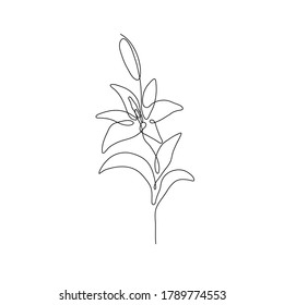 One line lily flower. Creative artwork flower silhouette. Hand drawn minimalism style vector illustration.