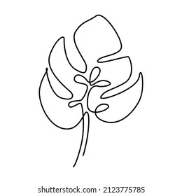 One line monstera leaf. Floral hand drawn illustration.