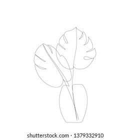 One line monstera on vase drawing